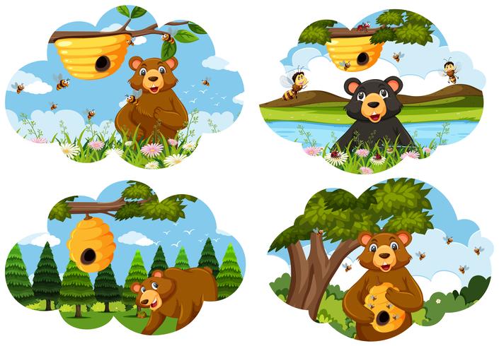 Conjunto de escenas de oso vector