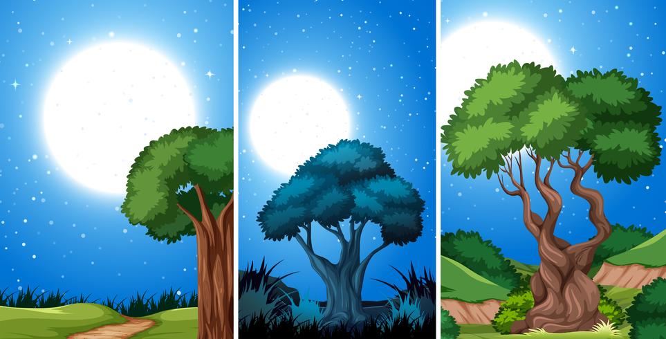 Set of night park scenes vector