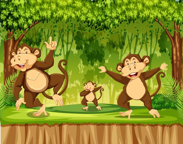 Group of monkey in rainforest vector