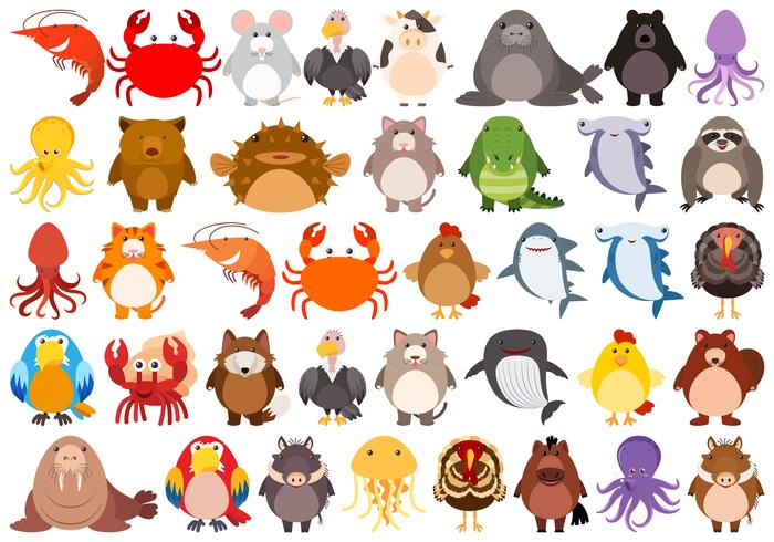 Set of cute animal character vector