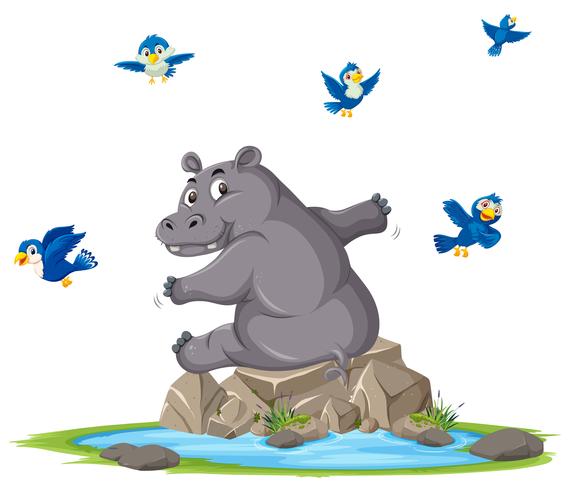 A hippopotamus next to pond vector