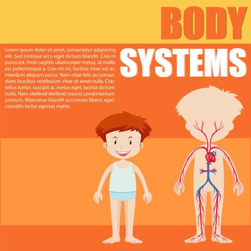 Boy and body system diagram vector
