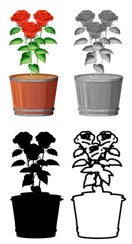 Set of rose in pot vector