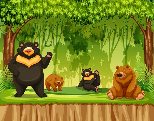 Group of grizzly bear in jungle vector