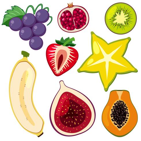 A Slet of Sliced Fruit vector