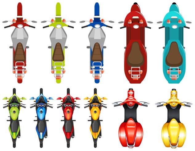 Conjunto de scooter diferente vector