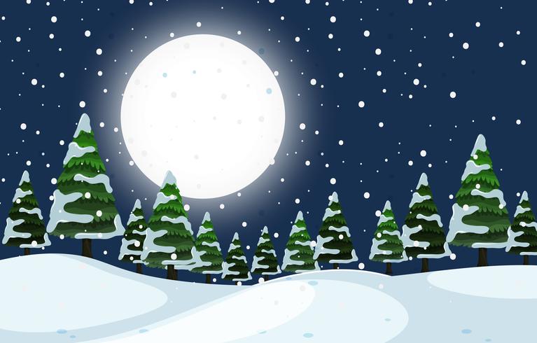 A winter outdoor night scene vector