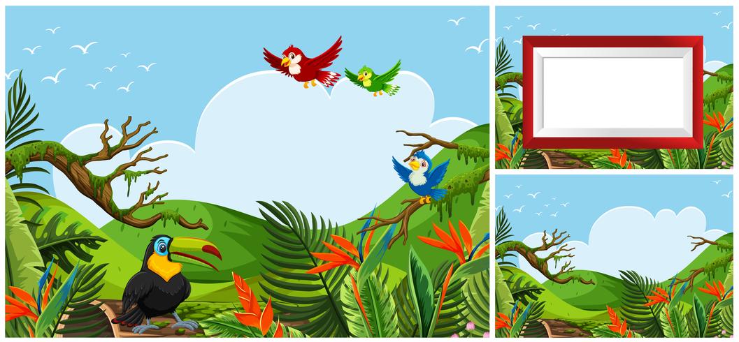 Set of bird in nature vector