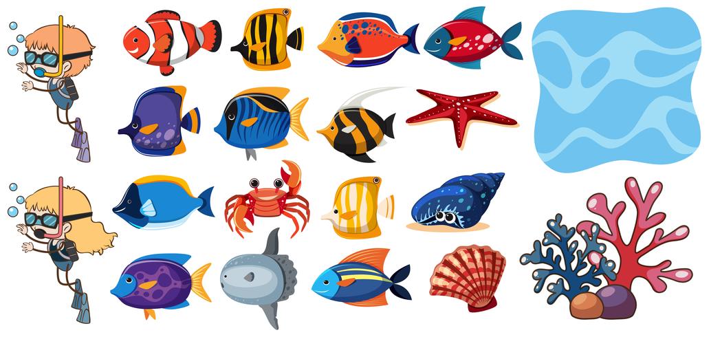 A Set of Fish and Water Element vector