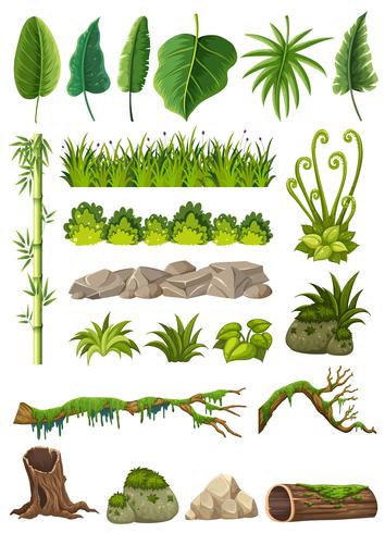 Conjunto de varios objetos de la selva. vector