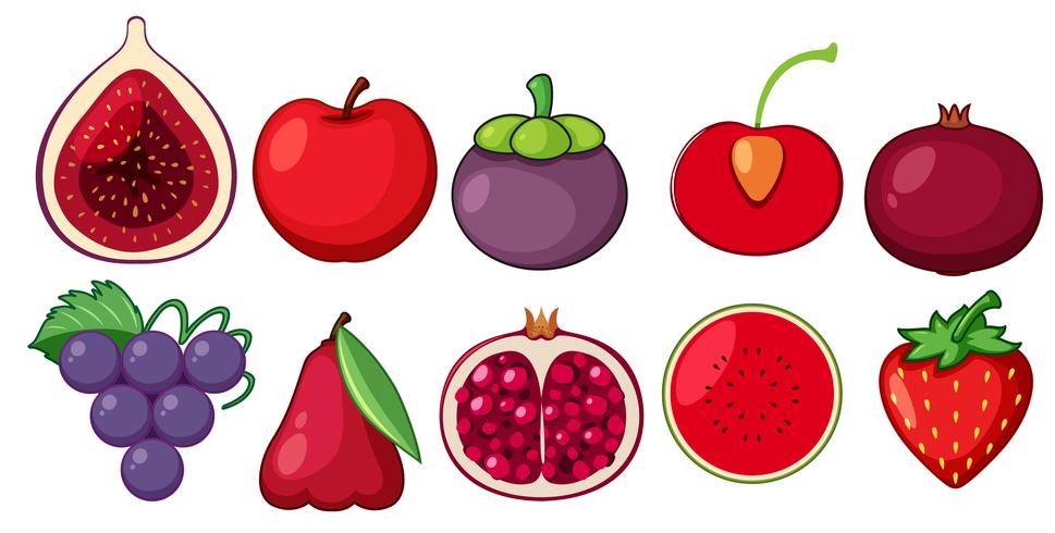 Un conjunto de frutas frescas. vector