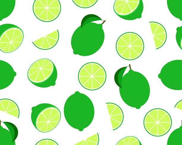 Seamless pattern of fresh lime isolated on white background - Vector illustration