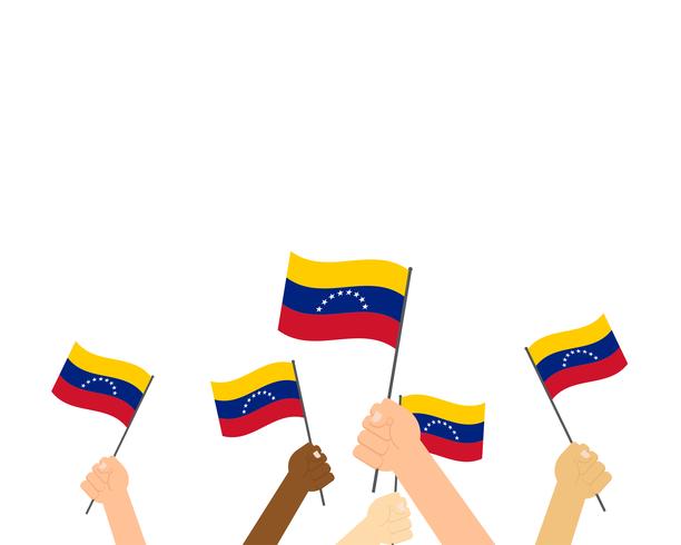 Ilustración vectorial de manos sosteniendo banderas de Venezuela aisladas sobre fondo blanco vector