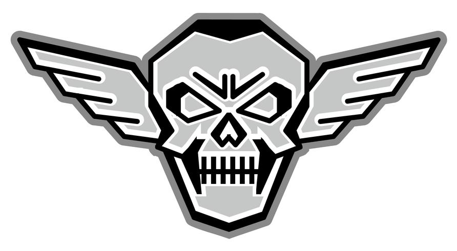 army skull coat of arms vector