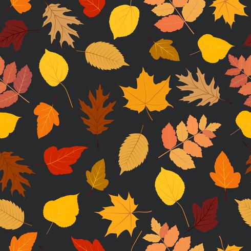 Fondo colorido de las hojas del otoño inconsútil del modelo vector