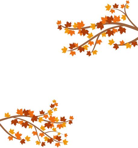 Branch with autumn maple leaves isolated on background - Vector illustration