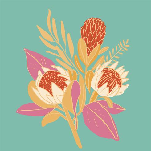 King protea hand drawn with outline graphic design vector