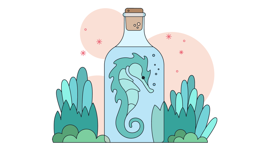 Seahorse Vector