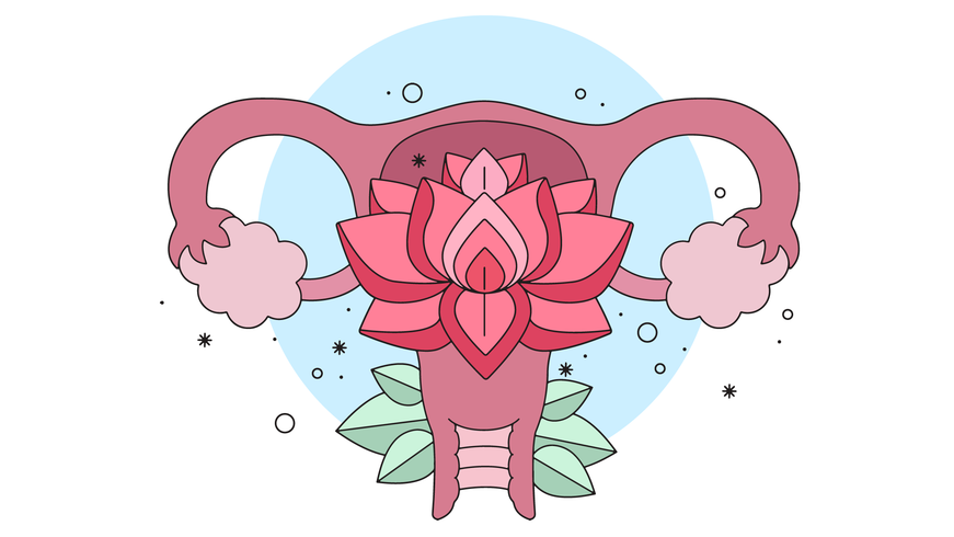 Uterus Vector