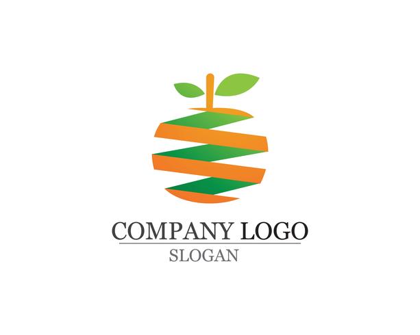Orange vector illustration logo and symbols template