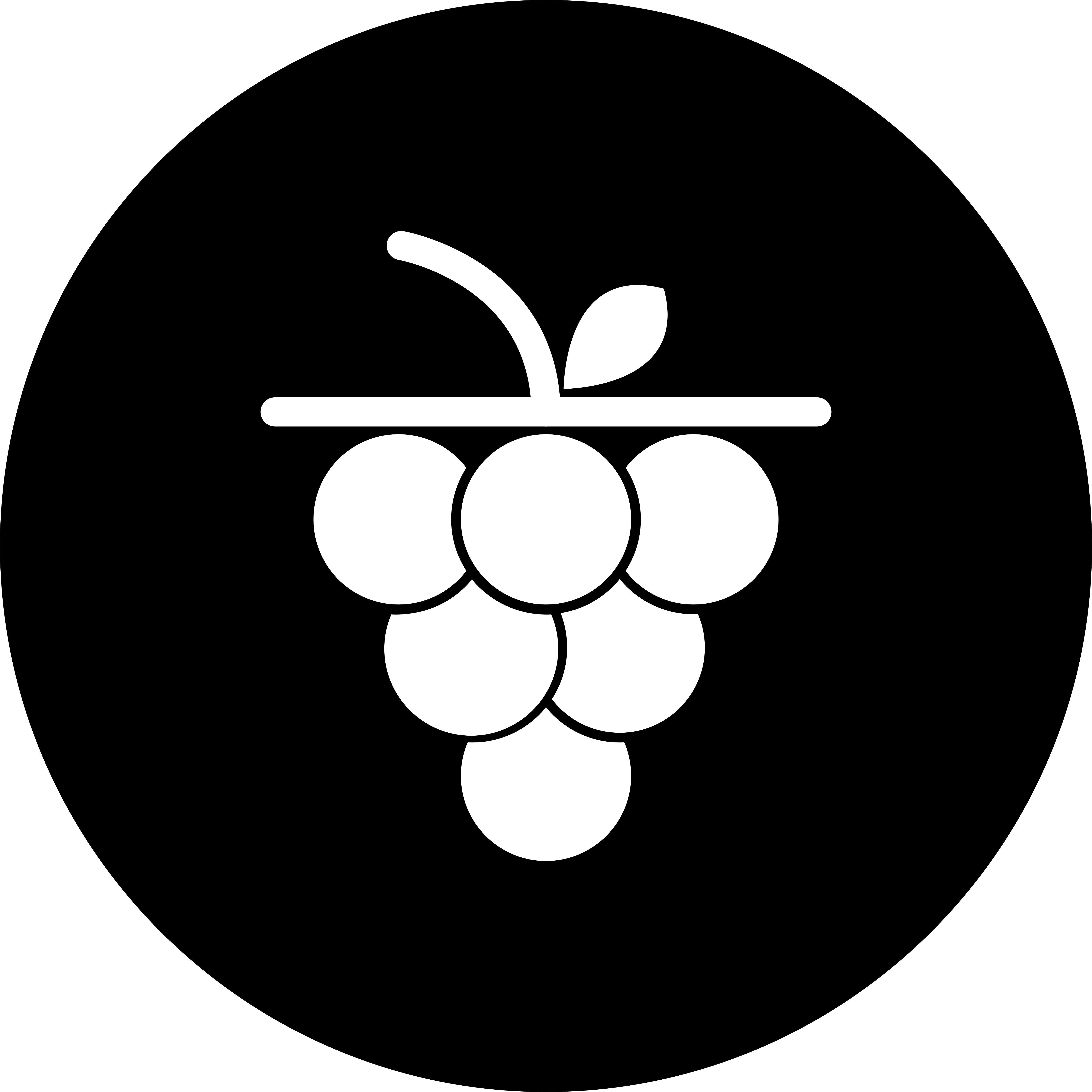 Grape Svg File