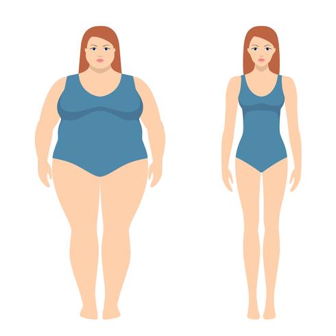 Vector el ejemplo de la mujer gorda y delgada en estilo plano. Concepto de pérdida de peso, antes y después. Cuerpo femenino obeso y normal.