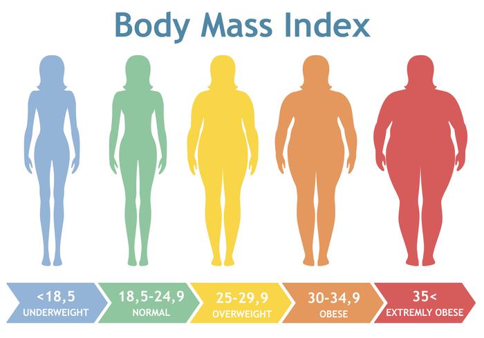 Ilustración vectorial de índice de masa corporal desde bajo peso hasta extremadamente obeso. Siluetas de mujer con diferentes grados de obesidad. vector