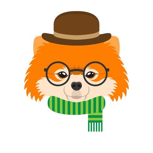 Portrait of pomeranian dog with glasses and hat in flat style. Vector illustration of Hipster dog for cards, t-shirt print, placard.