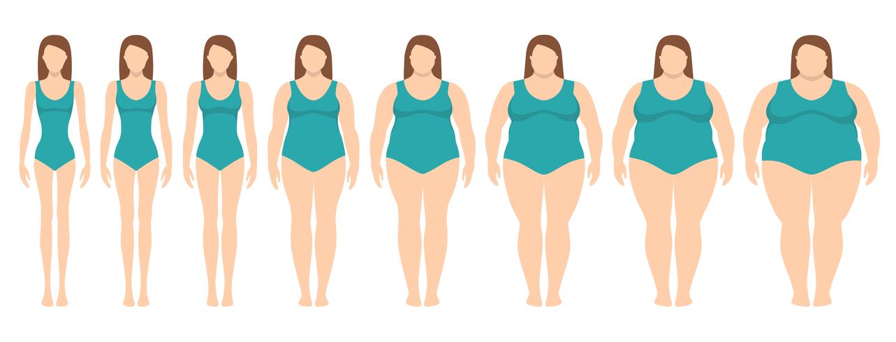 Vector a ilustração das mulheres com peso diferente da anorexia a extremamente obeso. Índice de massa corporal, conceito de perda de peso. - Download de Vetor