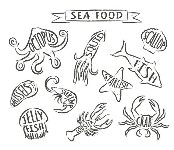 Ejemplos dibujados mano del vector de los mariscos aislados en el fondo blanco, elementos para el diseño del menú del restaurante, decoración, etiqueta. Contornos grunge de animales marinos con nombres.