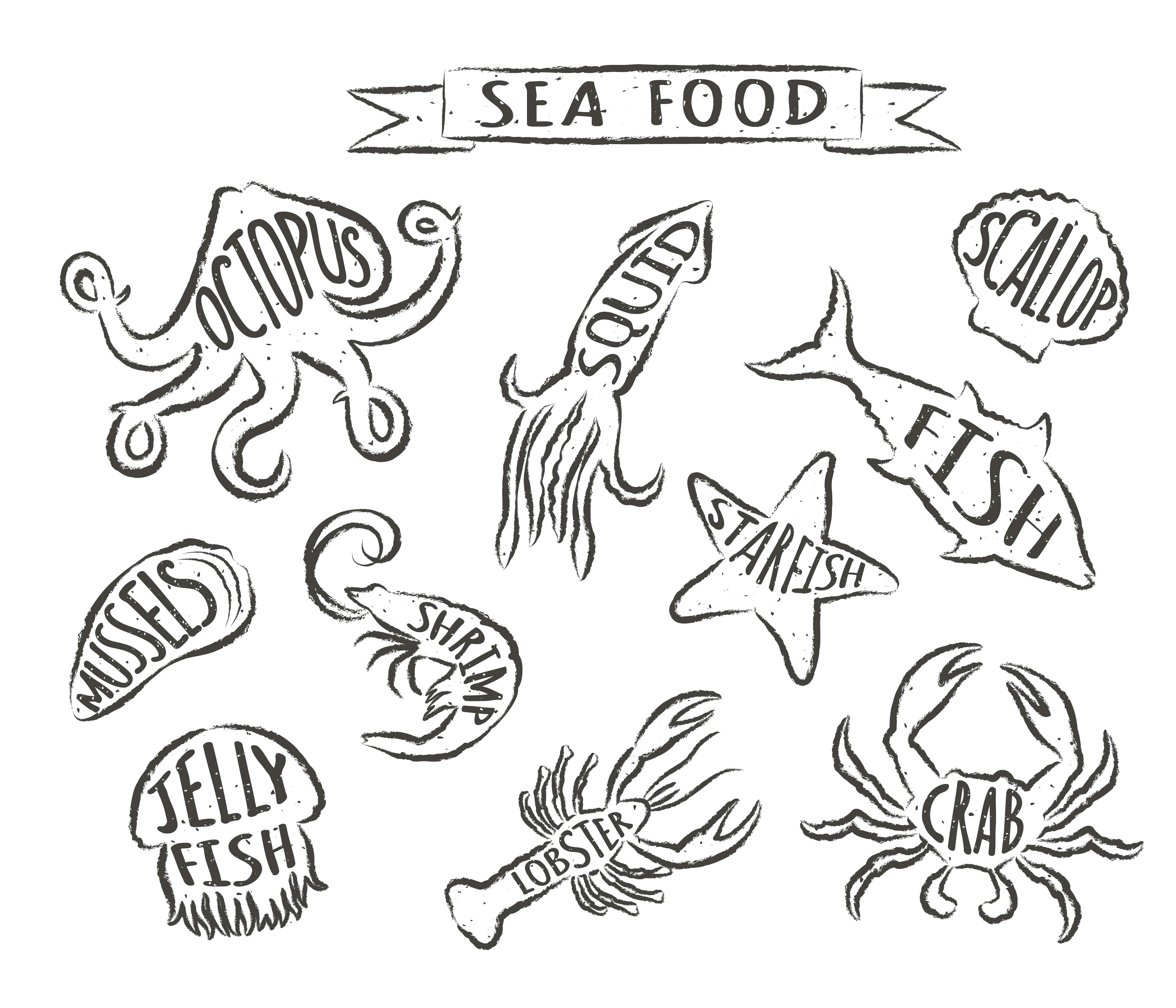Seafood hand drawn vector illustrations isolated on white background,  elements for restaurant menu design, decor, label. Grunge contours of sea  animals with names. 616560 Vector Art at Vecteezy