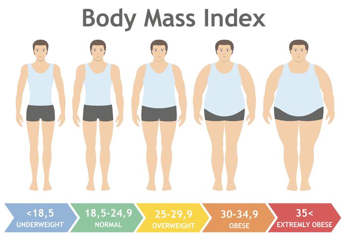 Ilustración vectorial de índice de masa corporal desde bajo peso hasta extremadamente obeso en estilo plano. Hombre con diferentes grados de obesidad. Cuerpo masculino con diferente peso. vector