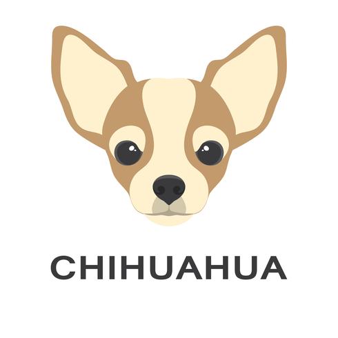 Vector illustration og chihuahua dog in flat style. Chihuahua flat icon.