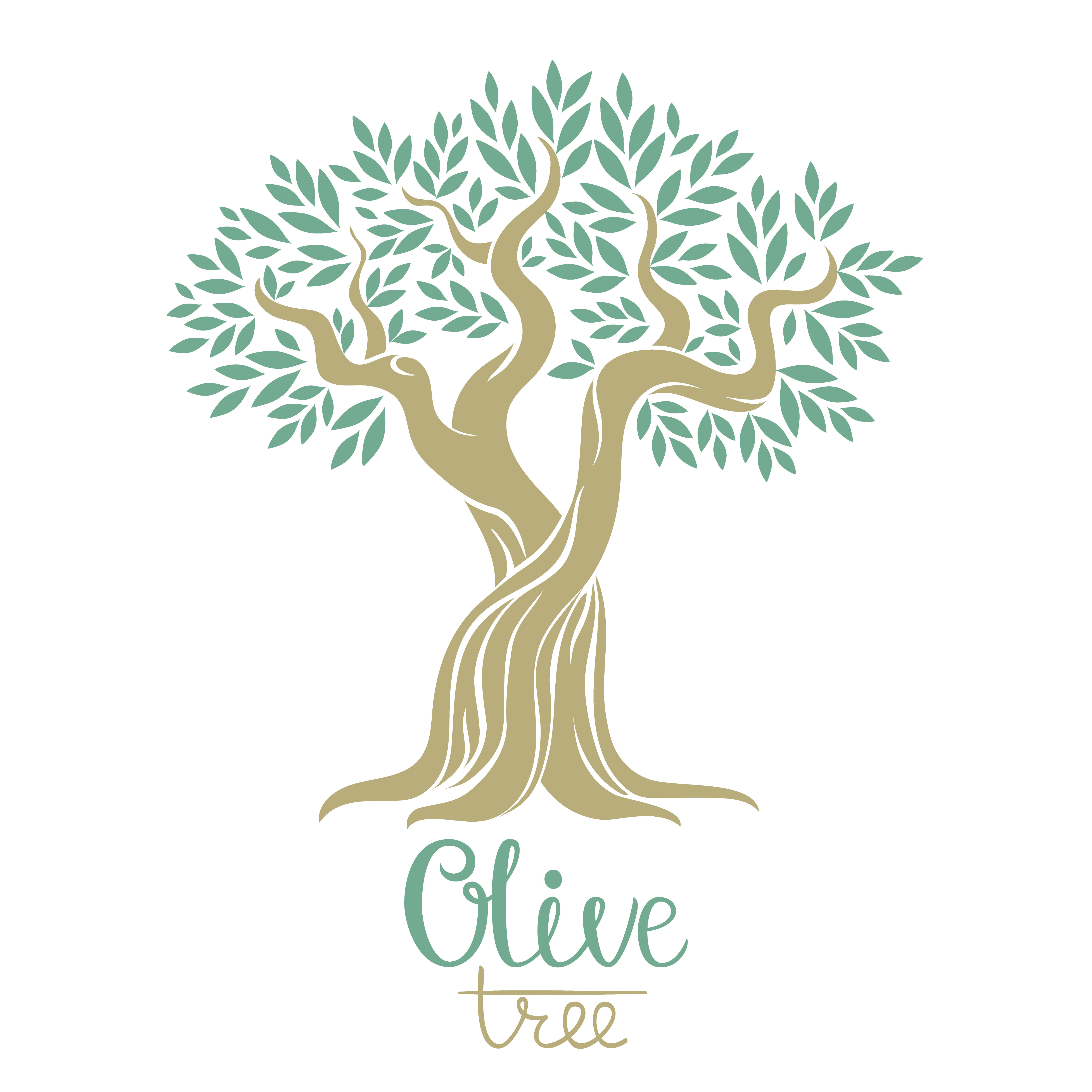 Download Olive tree vector illustration. Olive oil. Vector olive tree for labels, pack. 616721 - Download ...