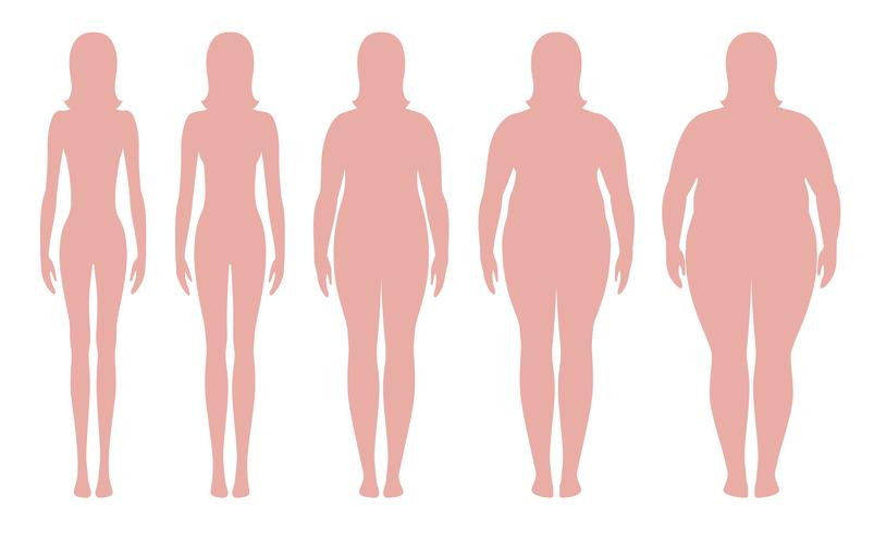 Ilustración vectorial de índice de masa corporal desde bajo peso hasta extremadamente obeso. Siluetas de mujer con diferentes grados de obesidad. Cuerpo femenino con diferente peso. vector