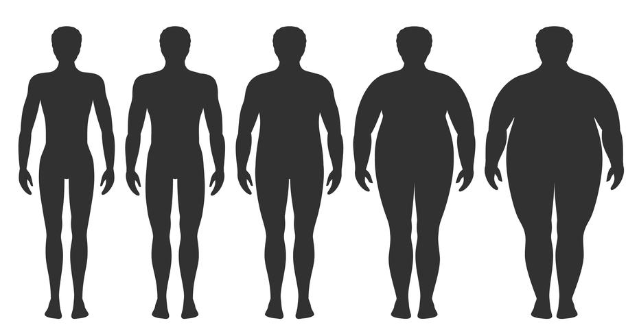 Ilustración vectorial de índice de masa corporal desde bajo peso hasta extremadamente obeso. Siluetas de hombres con diferentes grados de obesidad. Cuerpo masculino con diferente peso. vector