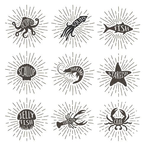 Set of vintage hand drawn sea animals with sun rays. Sea food icons on sunburst background. vector