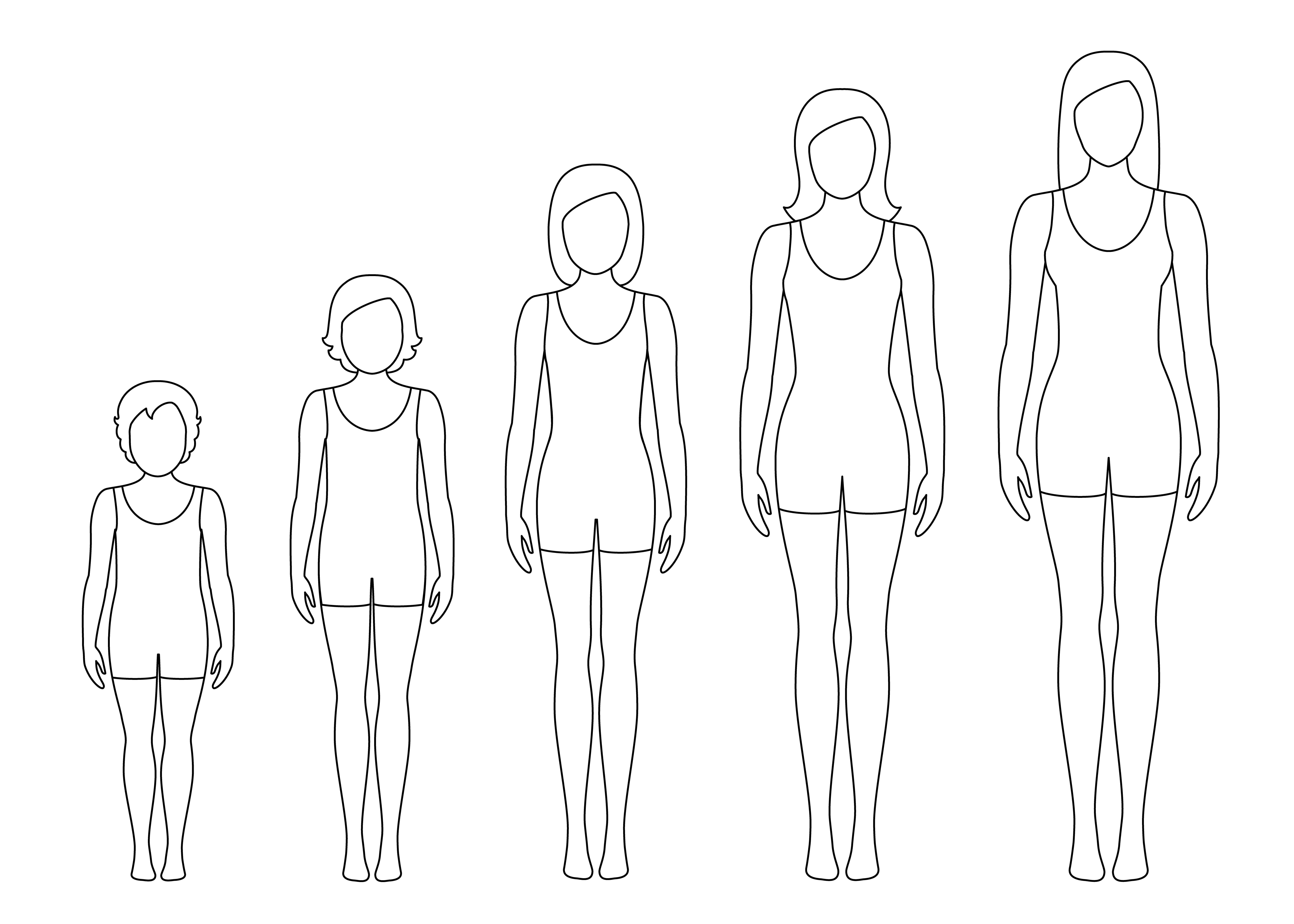 Women's body proportions changing with age. Girl's body growth stages.  Vector contour illustration. Aging concept. Illustration with different  girl's age from baby to adult. 616757 Vector Art at Vecteezy