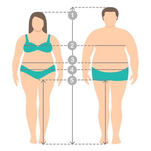 Illustration of overweight man and women in full length with measurement lines of body parameters . Man and women clothes plus size measurements. Human body measurements and proportions. vector