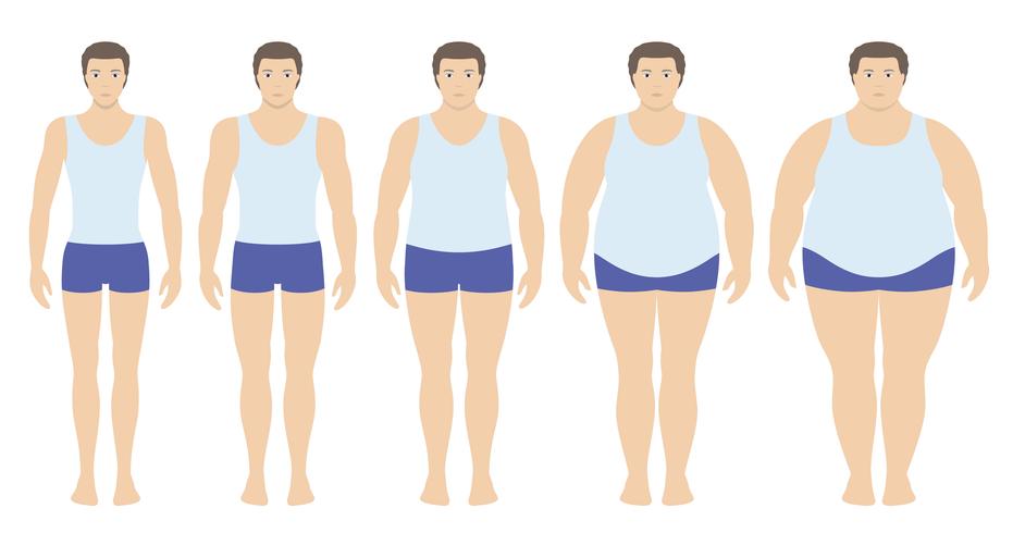Ilustración vectorial de índice de masa corporal desde bajo peso hasta extremadamente obeso en estilo plano. Hombre con diferentes grados de obesidad. Cuerpo masculino con diferente peso. vector