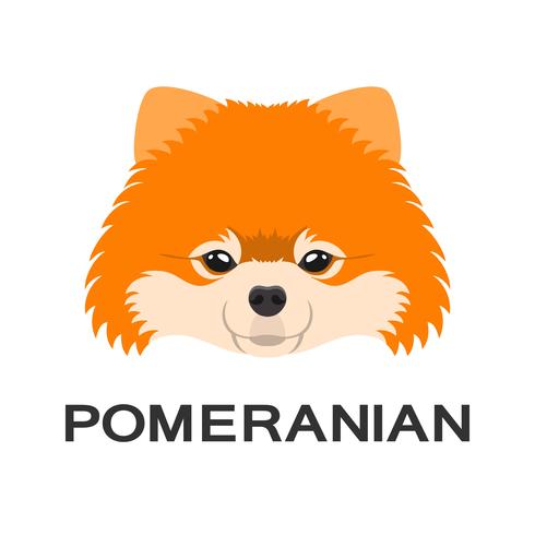 Ilustración de vector de perro pomeranian en estilo plano. Icono plano de Pomerania.