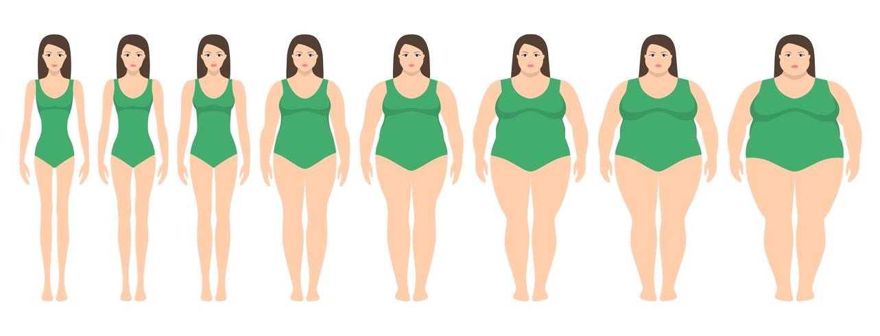 Ilustración vectorial de mujeres con diferente peso desde la anorexia hasta la obesidad extrema. Índice de masa corporal, concepto de pérdida de peso. vector