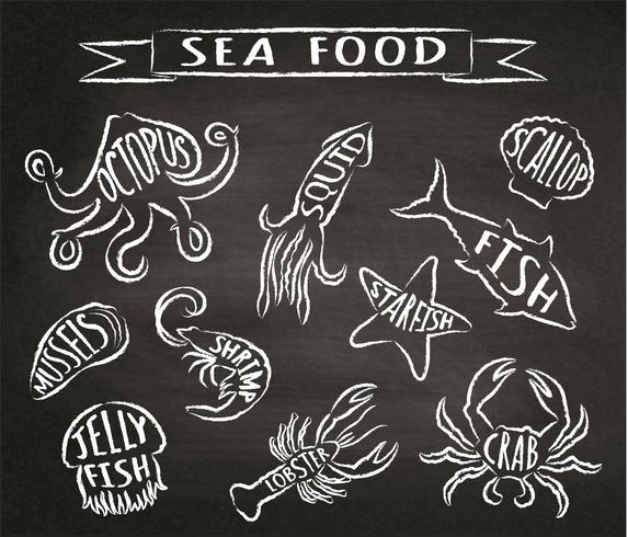 Ilustraciones del vector del contorno de la tiza de los mariscos en la pizarra, elementos para el diseño del menú del restaurante, decoración, etiqueta. Tiza texturada grunge contornos de animales marinos con nombres.