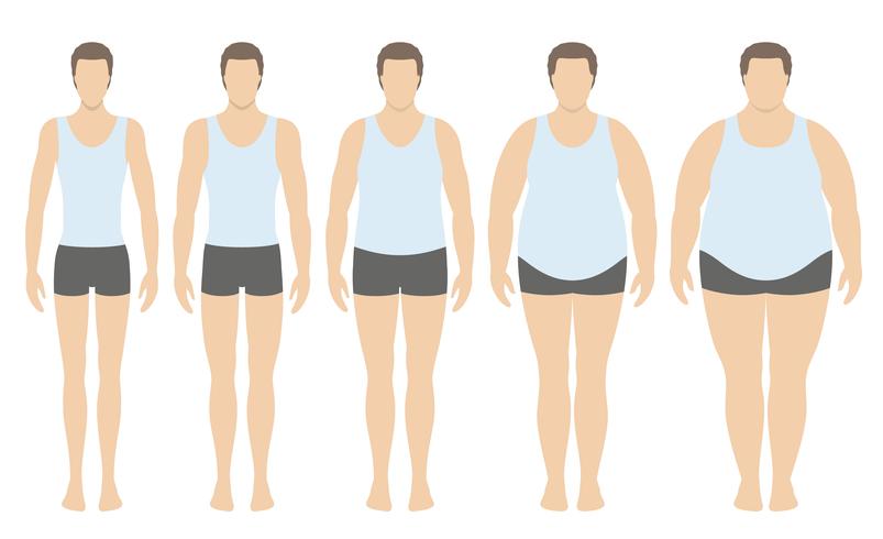 Ilustración vectorial de índice de masa corporal desde bajo peso hasta extremadamente obeso en estilo plano. Hombre con diferentes grados de obesidad. Cuerpo masculino con diferente peso. vector