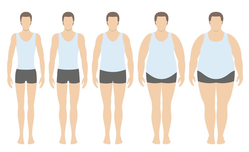 Body mass index vector illustration from underweight to extremely obese in flat style. Man with different obesity degrees. Male body with different weight.