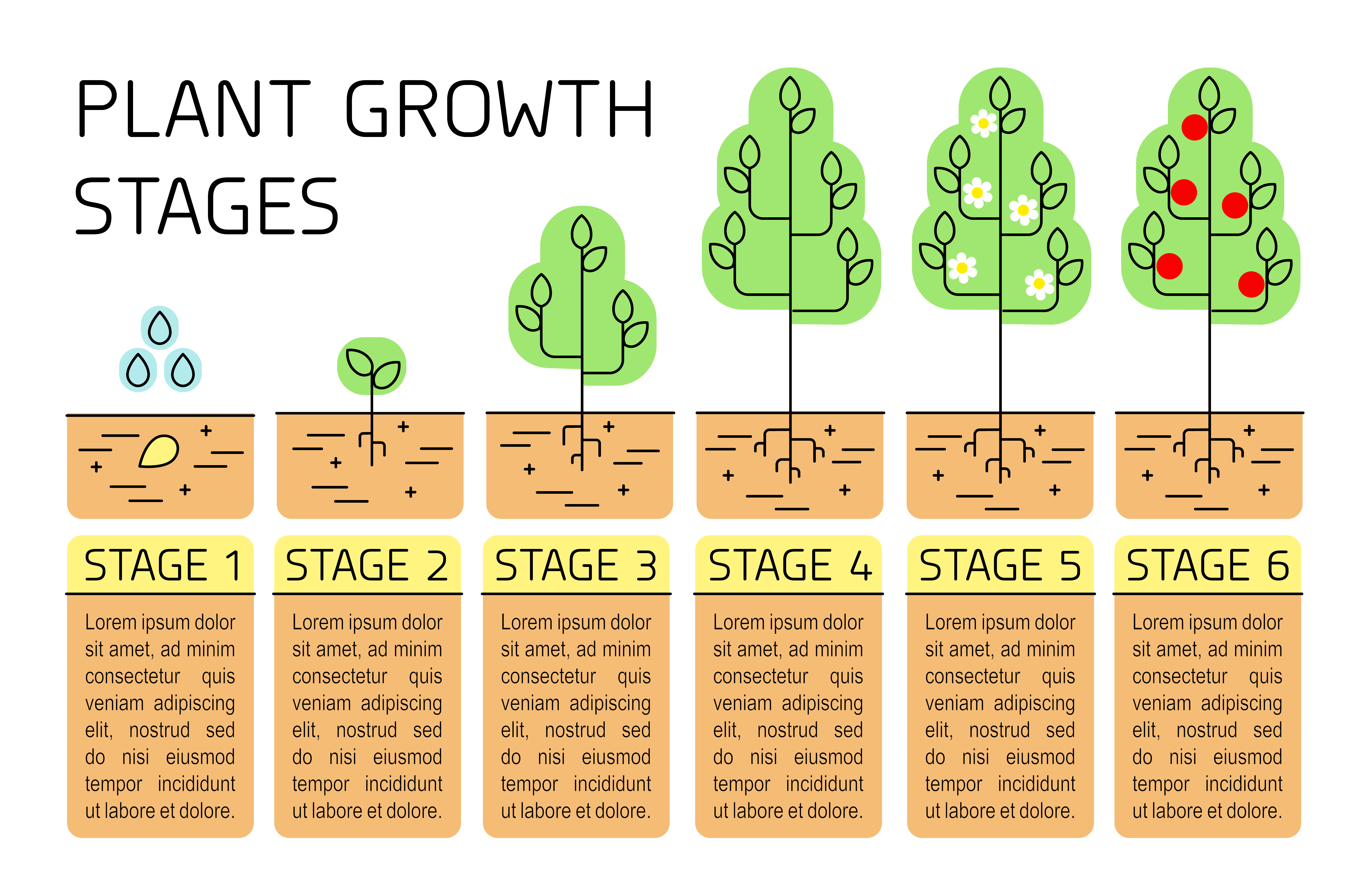 Is Qab Three Stage / 5 Magical Things You Can Expect to ...