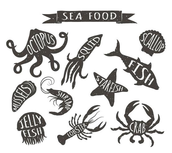 Ejemplos dibujados mano del vector de los mariscos aislados en el fondo blanco, elementos para el diseño del menú del restaurante, decoración, etiqueta. Vintage siluetas de animales marinos con nombres.