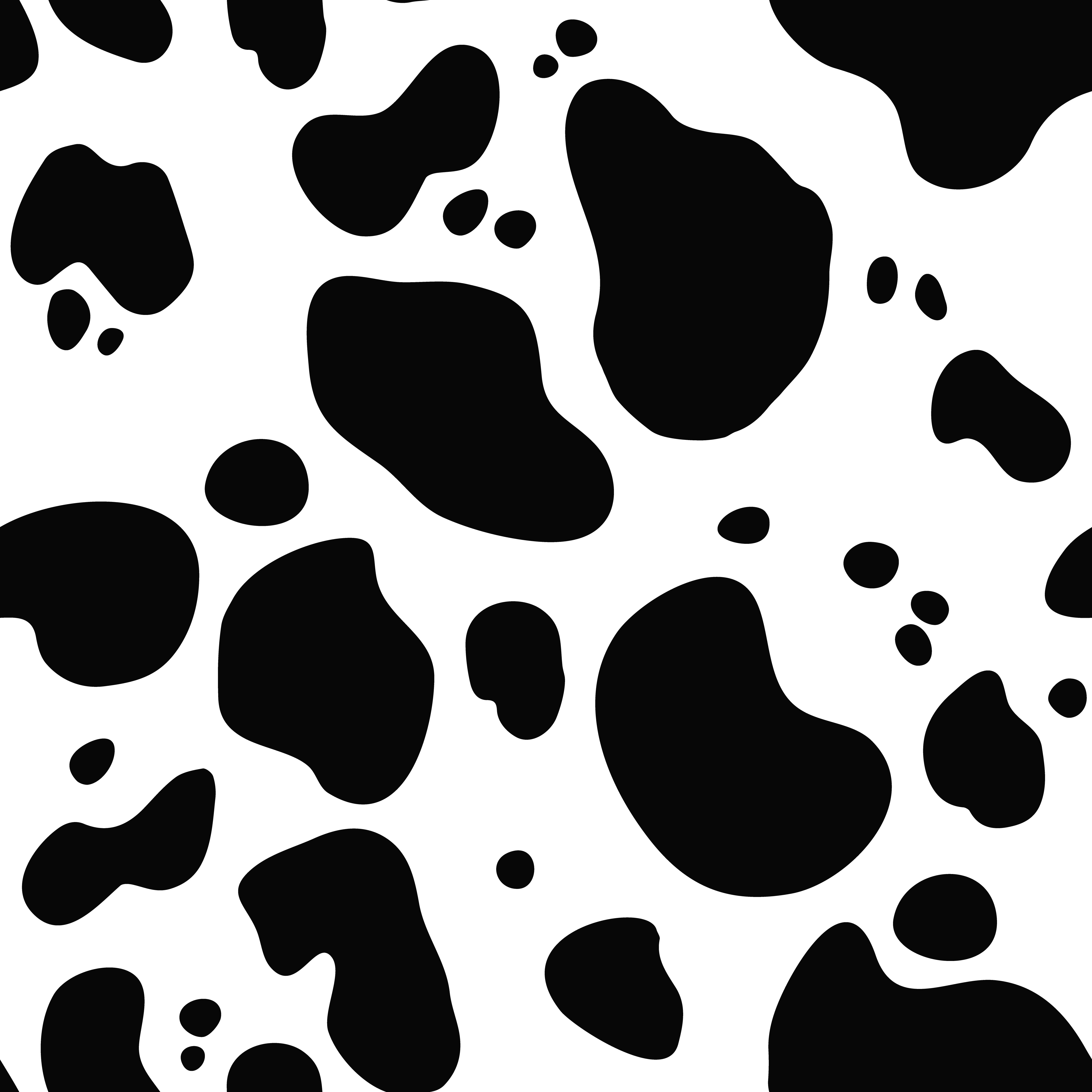 Cow spots pattern wrapping paper, animal print