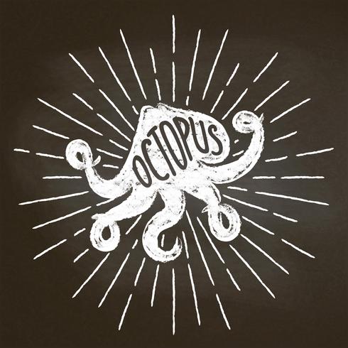 Octopus chalk silhoutte with sun rays on blackboard. Good for seafood  restaurant menu design, decor, logotypes,  or posters. vector