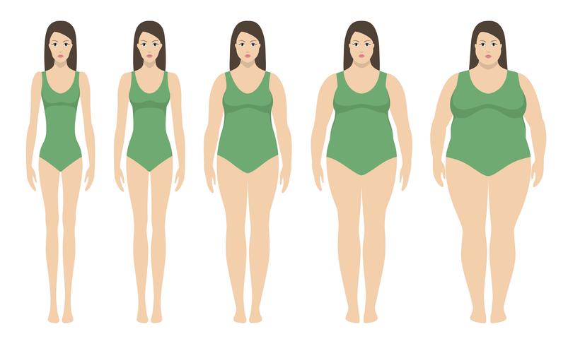 Ilustración vectorial de índice de masa corporal desde bajo peso hasta extremamente obeso. Siluetas de mujer con diferentes grados de obesidad. vector